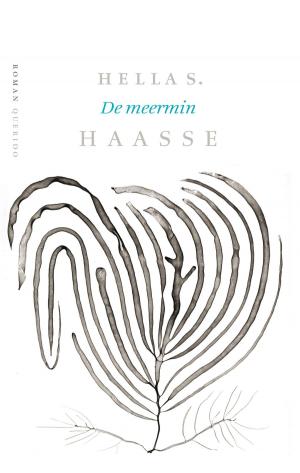 Cover of the book De meermin by Robert Anker