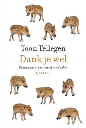 Cover of the book Dank je wel by Anna Enquist