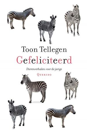 Cover of the book Gefeliciteerd by Maarten 't Hart