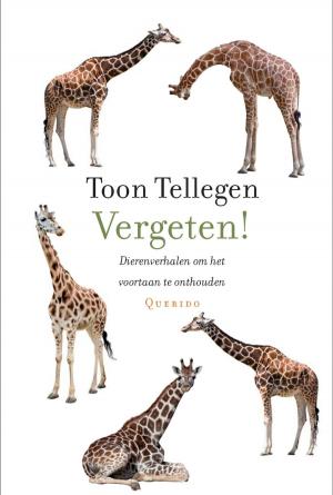 Cover of the book Vergeten! by Håkan Nesser