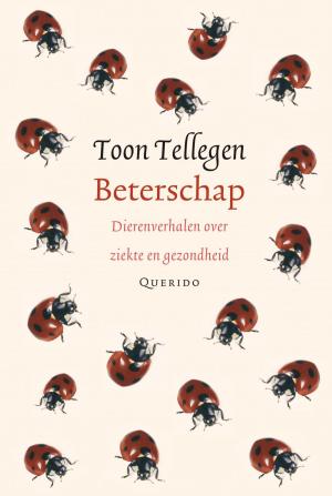 Cover of the book Beterschap by Joke van Leeuwen
