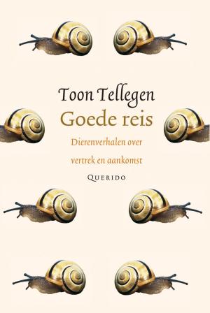 Cover of the book Goede reis by Anna Woltz