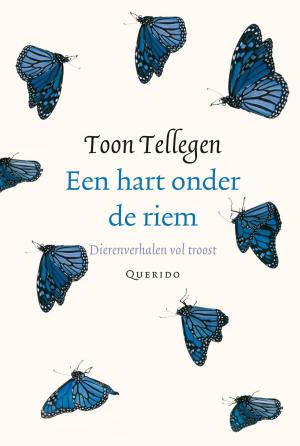 Cover of the book Een hart onder de riem by Rinske Hillen