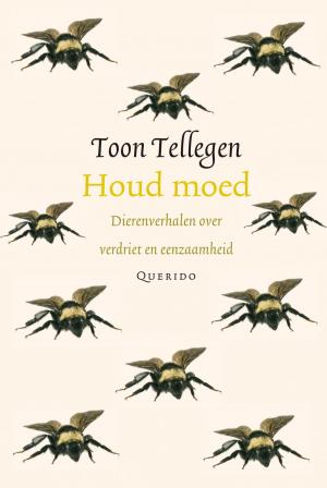 Cover of the book Houd moed by Tim van der Veer