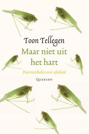 Cover of the book Maar niet uit het hart by Willem van Toorn