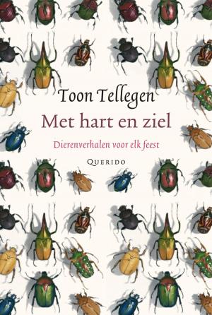Cover of the book Met hart en ziel by Jaap Robben