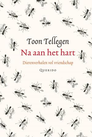Cover of the book Na aan het hart by Monika van Paemel