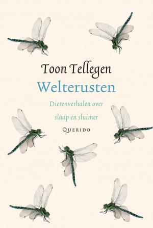 Cover of the book Welterusten by Paul Mennes