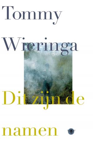 Cover of Dit zijn de namen by Tommy Wieringa, Bezige Bij b.v., Uitgeverij De