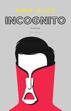 Cover of the book Incognito by Garth Risk Hallberg