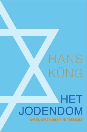 Cover of the book Het jodendom by Ellen Marie Wiseman