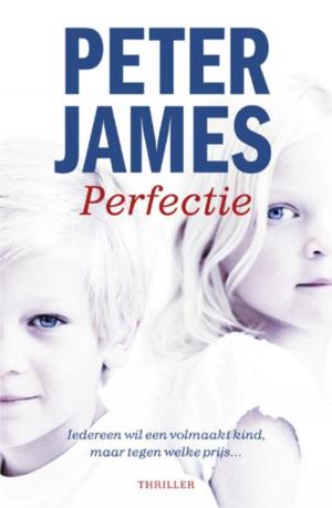 Cover of the book Perfectie by Anne West