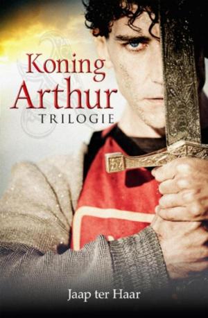 Cover of the book Koning Arthur trilogie by Julia Burgers-Drost