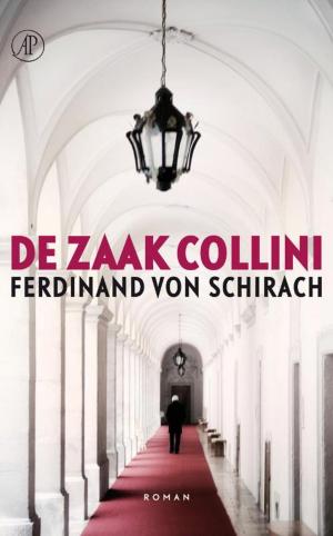 Book cover of De zaak-Collini