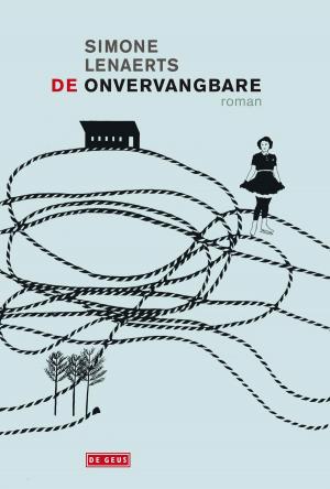 Cover of the book De onvervangbare by Tomas Lieske