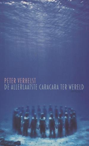 Cover of the book De allerlaatste Caracara ter wereld by Willem Melching