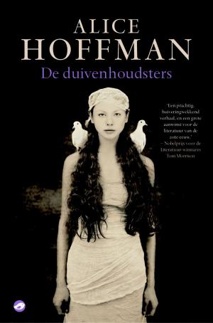 Cover of the book De duivenhoudsters by Tomas Ross
