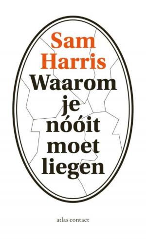 Cover of the book Waarom je nooit moet liegen by Wouter van Bergen, Martin Visser