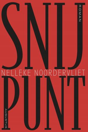 Cover of the book Snijpunt by Mark Henshaw