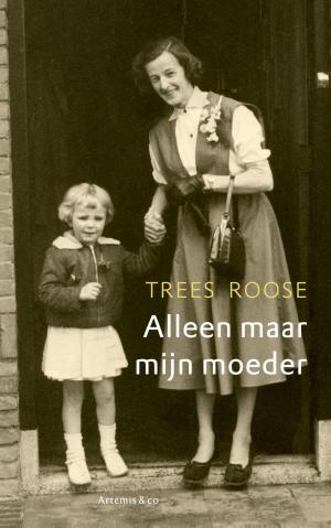 Cover of the book Alleen maar mijn moeder by Chloe Benjamin