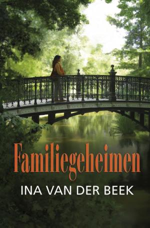 Book cover of Familiegeheimen