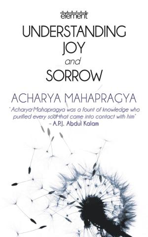 Cover of the book Understanding Joy And Sorrow by Bejan Daruwalla