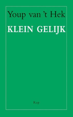 Cover of the book Klein gelijk by Paul Auster