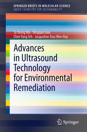 Cover of the book Advances in Ultrasound Technology for Environmental Remediation by Kuljit Ahluwalia