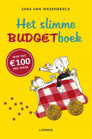 Cover of the book Het slimme budgetboek by Daryl Diamond