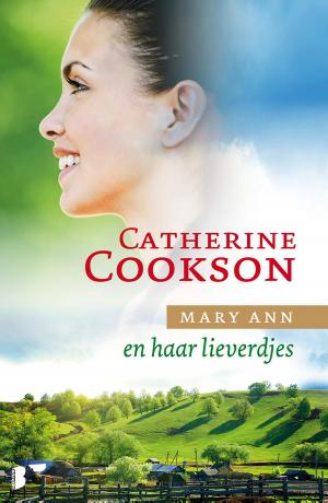 Cover of the book En haar lieverdjes by Karl May