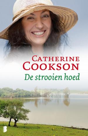 Cover of the book De strooien hoed by Terry Pratchett