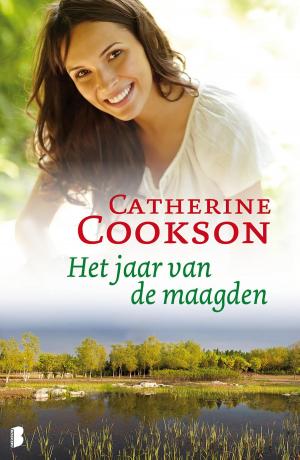 Cover of the book Het jaar van de maagden by Katie Fforde