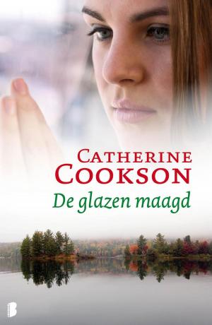 Cover of the book De glazen maagd by Eric Vuillard