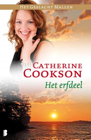 Cover of the book Het erfdeel by Simo Hiltunen