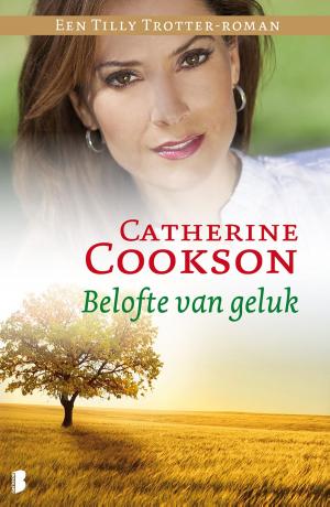 Book cover of Belofte van geluk