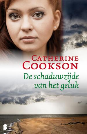 Cover of the book De schaduwzijde van het geluk by Samantha Stroombergen