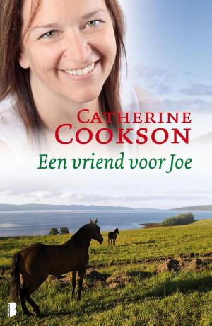 Cover of the book Een vriend voor Joe by Karl May
