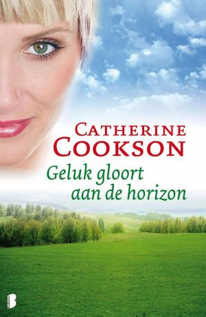 Cover of the book Geluk gloort aan de horizon by Linwood Barclay