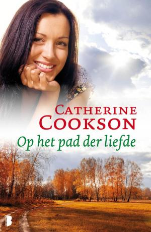 Cover of the book Op het pad der liefde by Daniel Silva