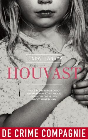 Cover of the book Houvast by Candy Brouwer