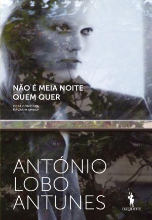 Cover of the book Não É Meia Noite Quem Quer by Inês Pedrosa
