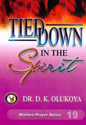 Cover of the book Tied Down in the Spirit by Dr. D. K. Olukoya