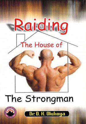 Cover of the book Raiding the House of the Strongman by John King, Laura King, Vaughan King