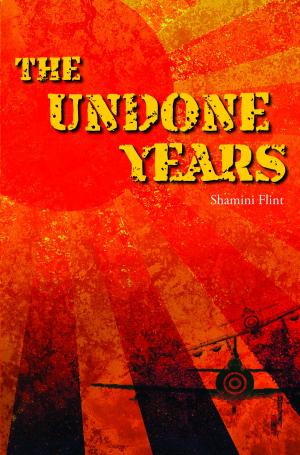 Cover of the book The Undone Years by JB Lewis