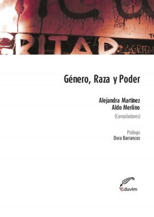 Cover of the book Género, raza y poder by Virginia  Morales, Eduardo Mattio