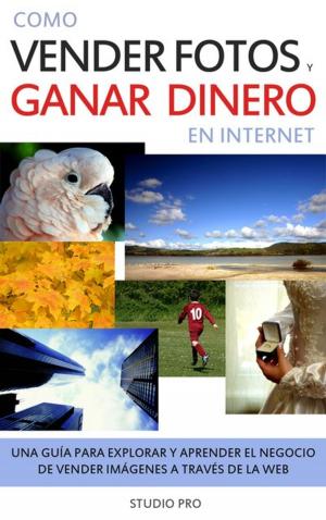 Book cover of Cómo Vender Tus Fotos y Ganar Dinero en Internet