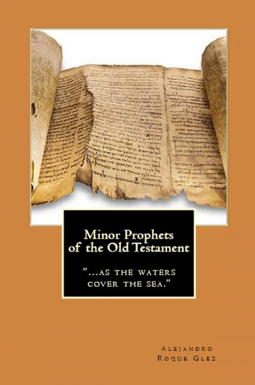 Cover of the book Minor Prophets of the Old Testament. by Alejandro Roque Glez, Alejandro's Libros