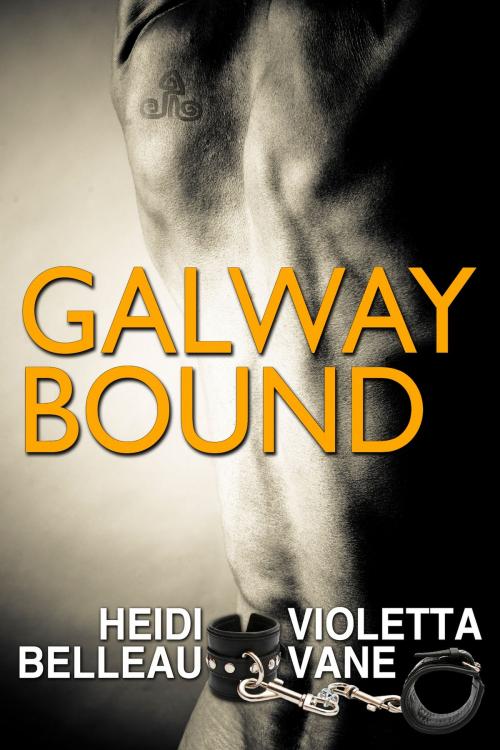 Cover of the book Galway Bound by Violetta Vane, Heidi Belleau, HBVV