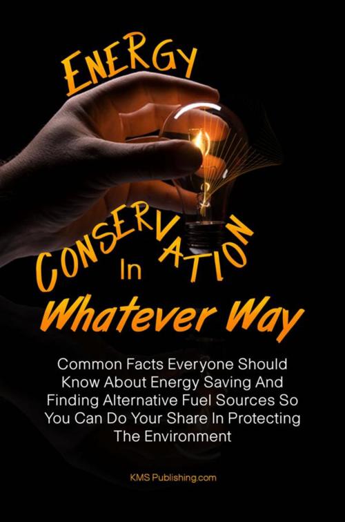 Cover of the book Energy Conservation In Whatever Way by KMS Publishing, KMS Publishing