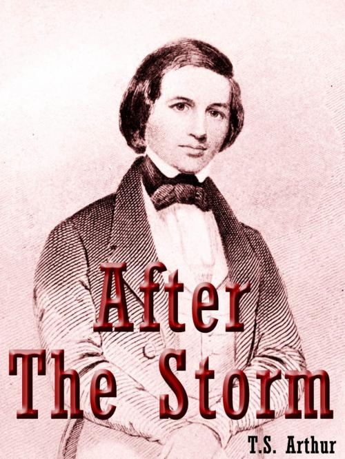 Cover of the book After The Storm by T.S. Arthur, AppsPublisher